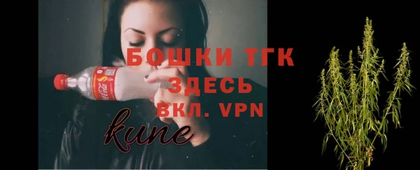 дживик Баксан