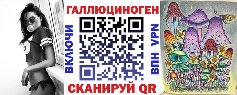 наркотики  Куртамыш  Псилоцибиновые грибы Psilocybine cubensis 
